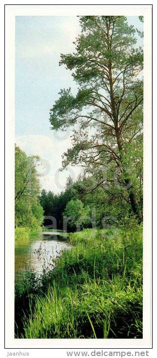 Summer Midday - river - Bashkirsky Nature Reserve - Bashkortostan - Bashkiria - 1982 - Russia USSR - unused - JH Postcards