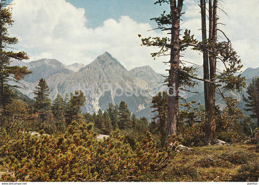 Nationalpark - Im Wildreichen Val Minger - Switzerland - unused - JH Postcards