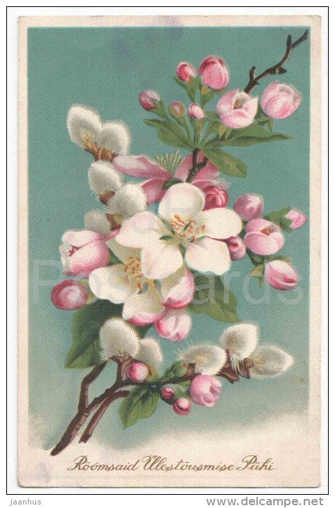 Easter Greeting Card - apple-tree blossoms - old postcard - circulated in Estonia - JH Postcards