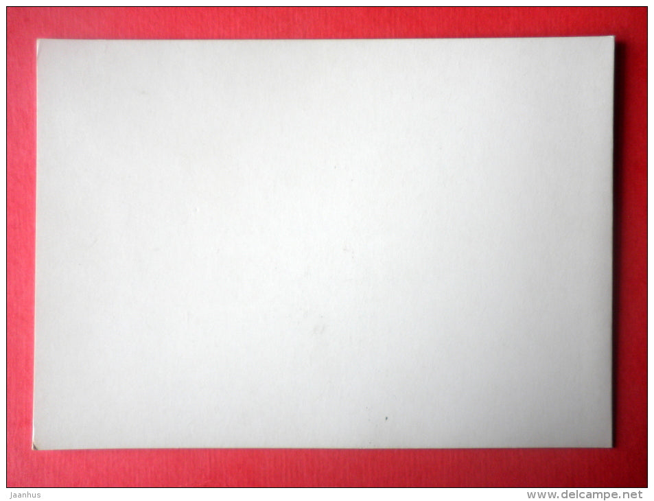 Christmas Greeting Card - bullfinch - bird - Finland - circulated in Finland - JH Postcards