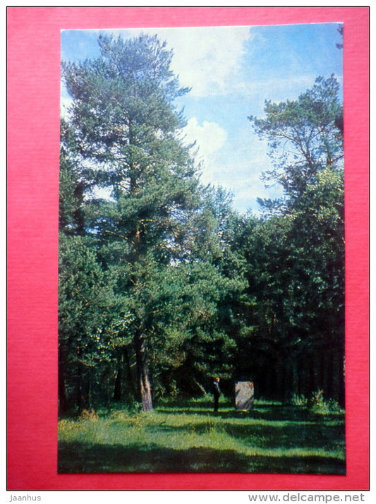 Kolin Bor - Narym Memorial Museum of Bolsheviks in Political Exile - 1973 - Russia USSR - unused - JH Postcards
