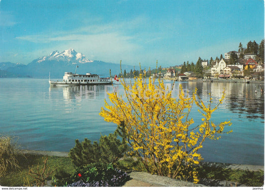 Kurort Weggis im Fruhling mit Pilatus - ship - MS - 1970s - Switzerland - unused - JH Postcards