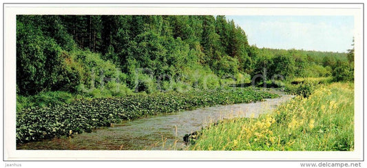 River - Bashkirsky Nature Reserve - Bashkortostan - Bashkiria - 1982 - Russia USSR - unused - JH Postcards