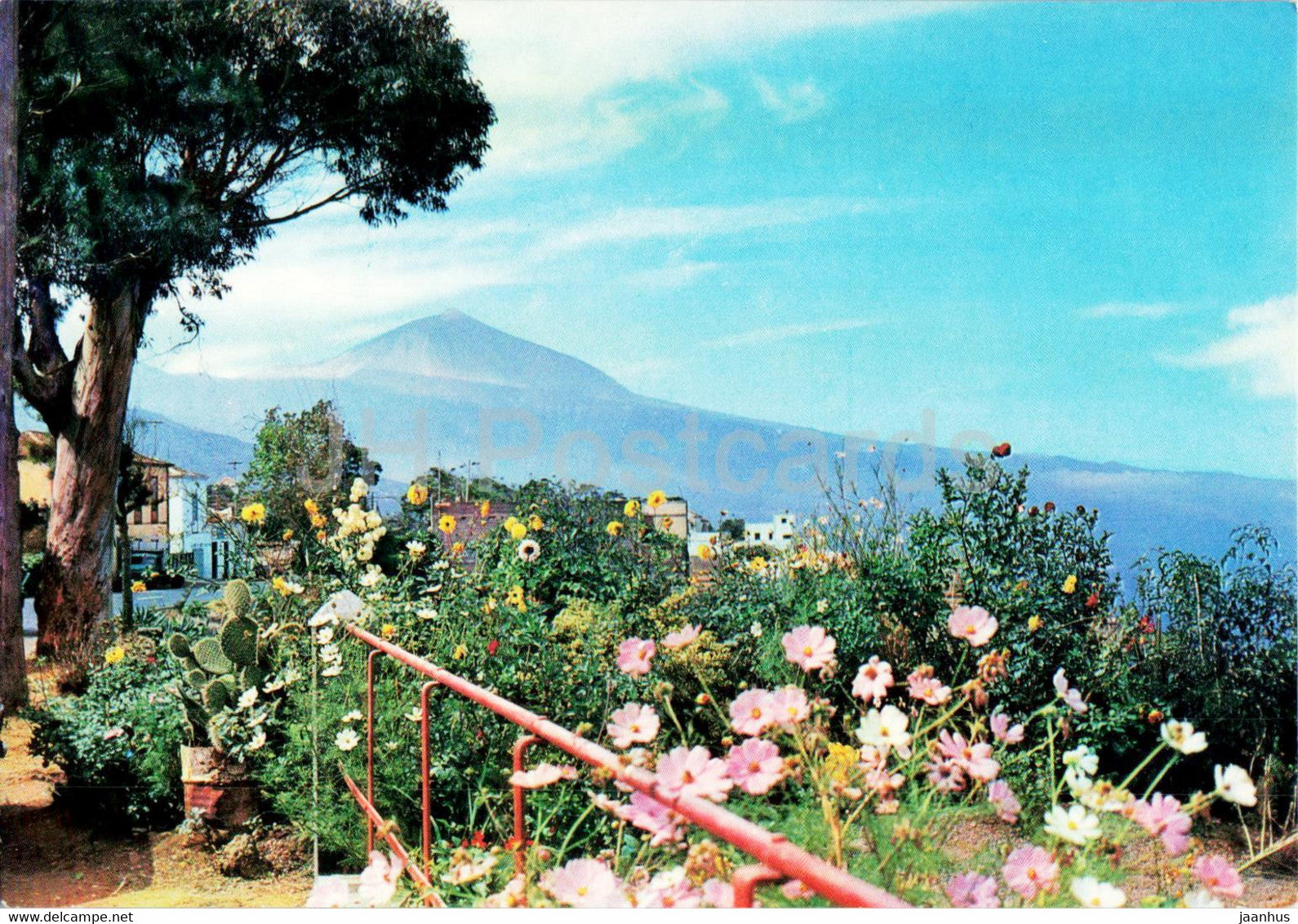 Tenerife - Paisaje tipico - typical countryside - 359 - Spain - unused - JH Postcards