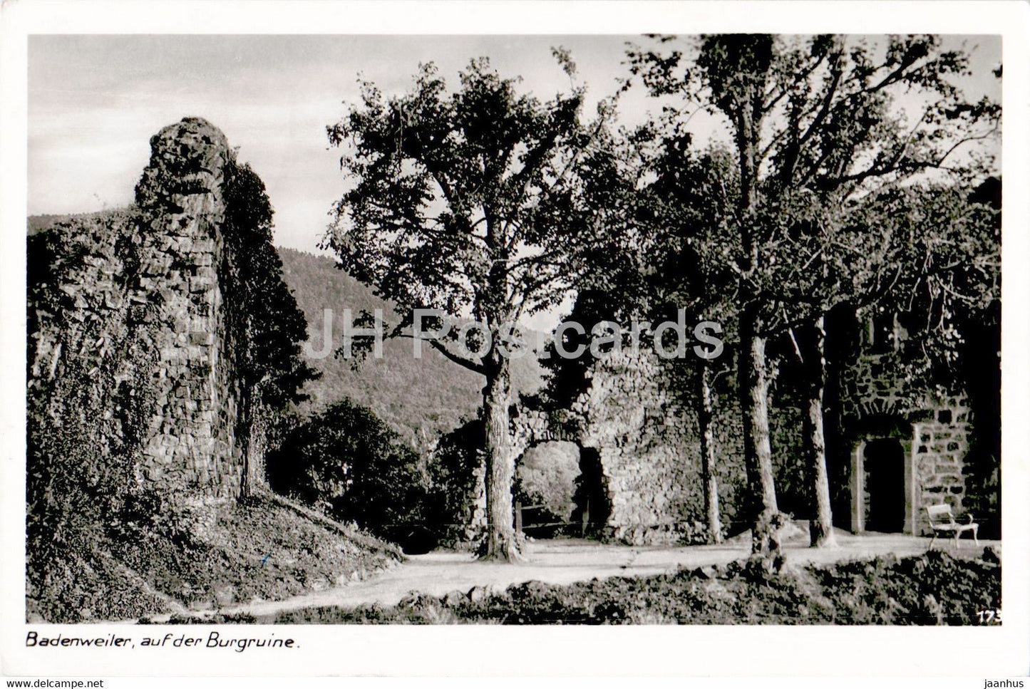 Badenweiler auf der Burgruine - old postcard - 1952 - Germany - used - JH Postcards