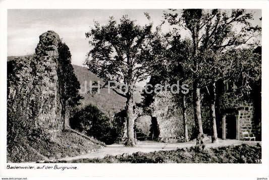 Badenweiler auf der Burgruine - old postcard - 1952 - Germany - used - JH Postcards
