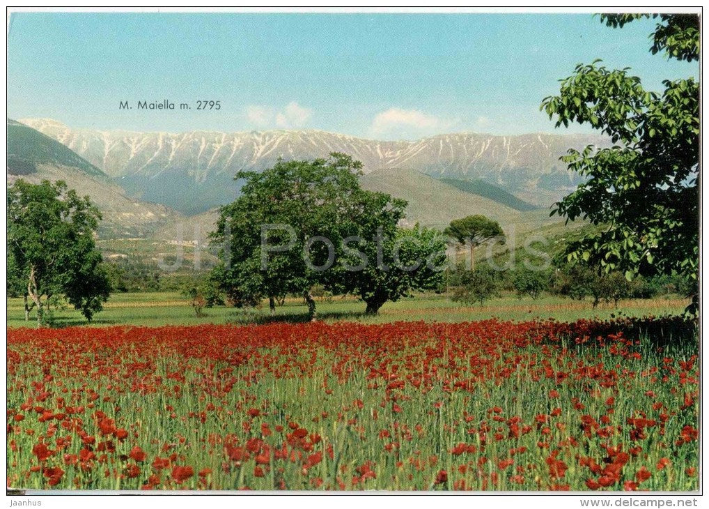 M. Maiella m. 2795  - Sulmona - Abruzzo - 201 - Italia - Italy - unused - JH Postcards