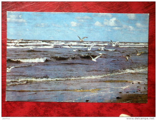 Gulls on the beach - birds - Jurmala - 1978 - Latvia USSR - unused - JH Postcards