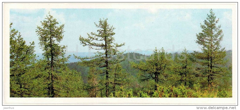 Mountains - Bashkirsky Nature Reserve - Bashkortostan - Bashkiria - 1982 - Russia USSR - unused - JH Postcards