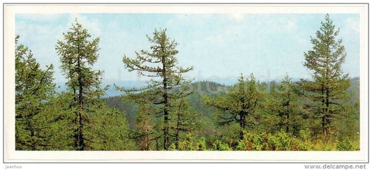 Mountains - Bashkirsky Nature Reserve - Bashkortostan - Bashkiria - 1982 - Russia USSR - unused - JH Postcards