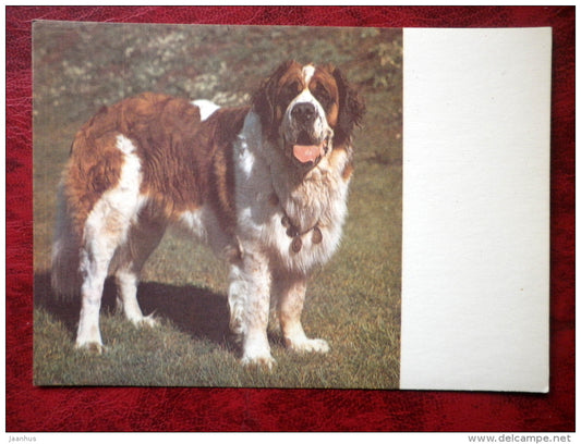St. Bernard - dogs - 1987 - Estonia - USSR - unused - JH Postcards