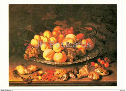 painting by Balthasar van der Ast - Plate with fruits and shells - shell - Dutch art - 1987 - Russia USSR - unused - JH Postcards