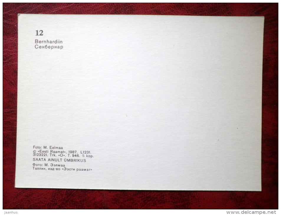 St. Bernard - dogs - 1987 - Estonia - USSR - unused - JH Postcards