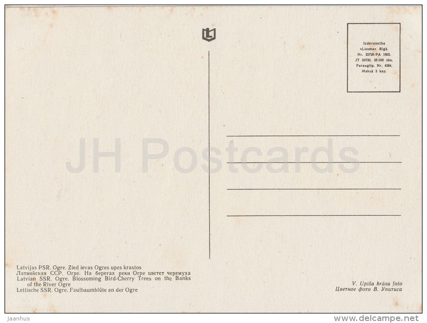 Blossoming Bird-Cherry Trees on the banks of the river Ogre - old postcard - Latvia USSR - unused - JH Postcards