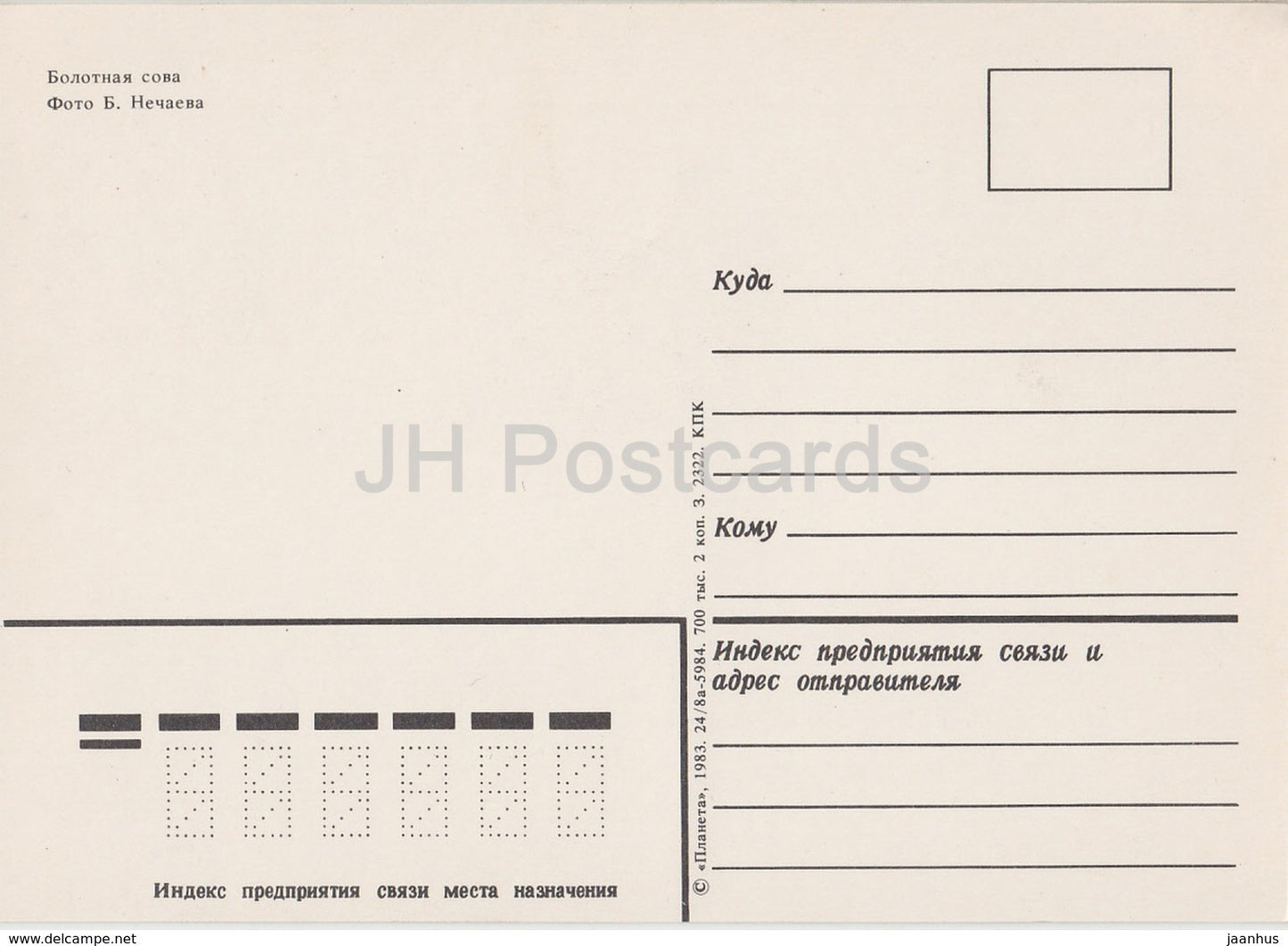 Short-eared owl - Asio flammeus - birds - 1983 - Russia USSR - unused