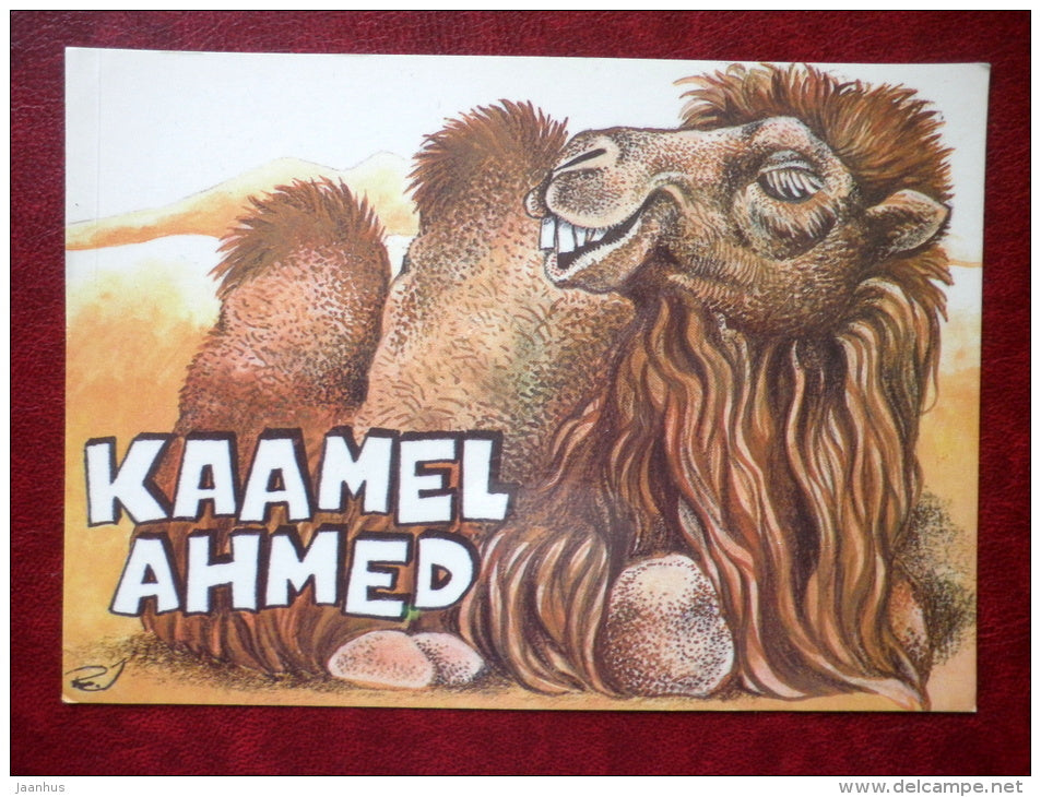 illustration by R. Järvi - camel Ahmed - 1981 - Estonia USSR - unused - JH Postcards