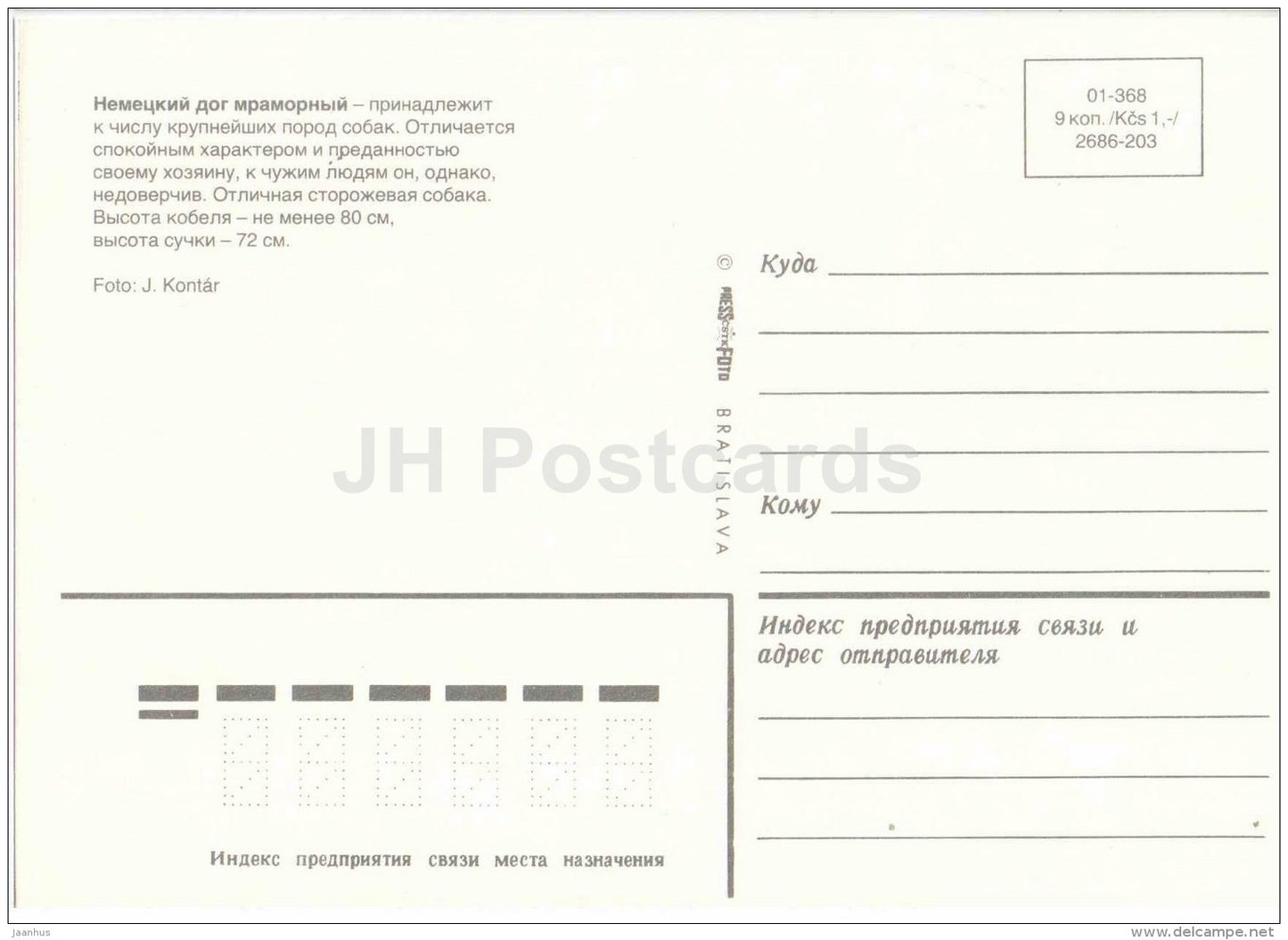 Great Dane - dog - Russia USSR - unused - JH Postcards