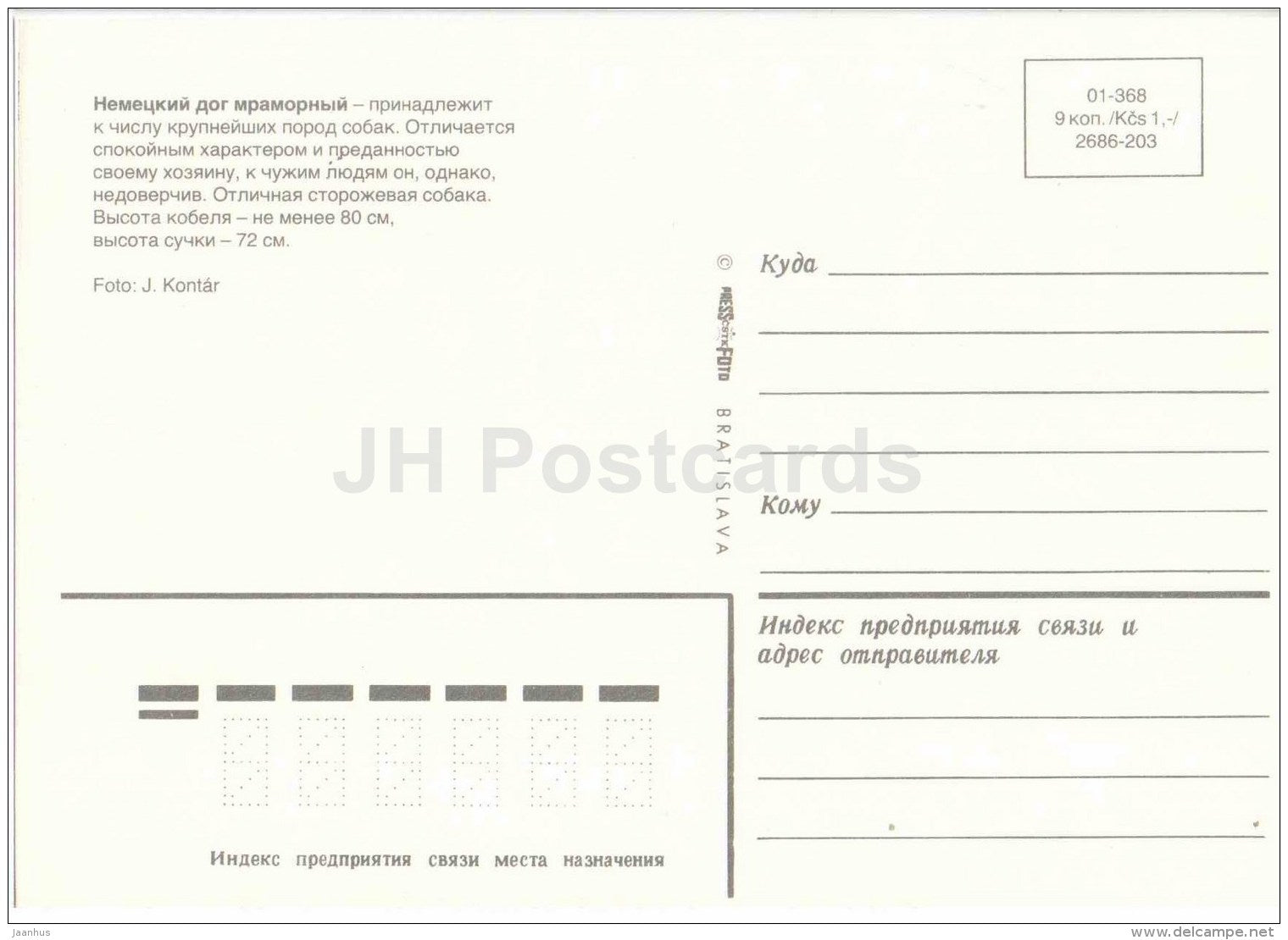 Great Dane - dog - Russia USSR - unused - JH Postcards