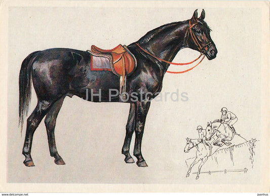 Trakehner horse - illustration by A. Glukharev - horses - animals - 1988 - Russia USSR - unused - JH Postcards