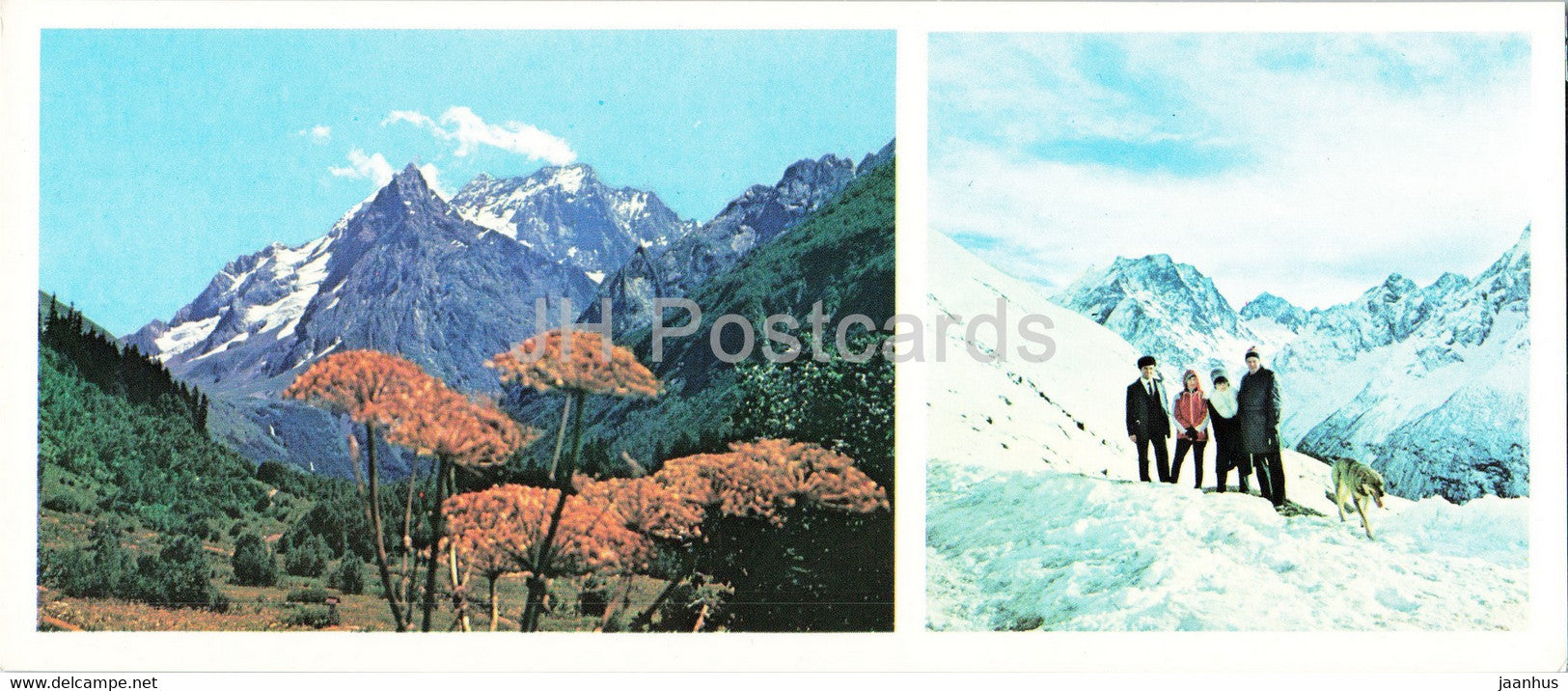 Dombay - Dombai - Alpine Meadows - Mountain Tops - 1983 - Russia USSR - unused - JH Postcards