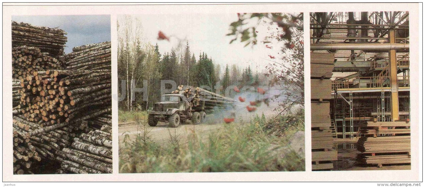 Belozersky forest industry - wood industry - Vologda Region - 1987 - Russia USSR - unused - JH Postcards