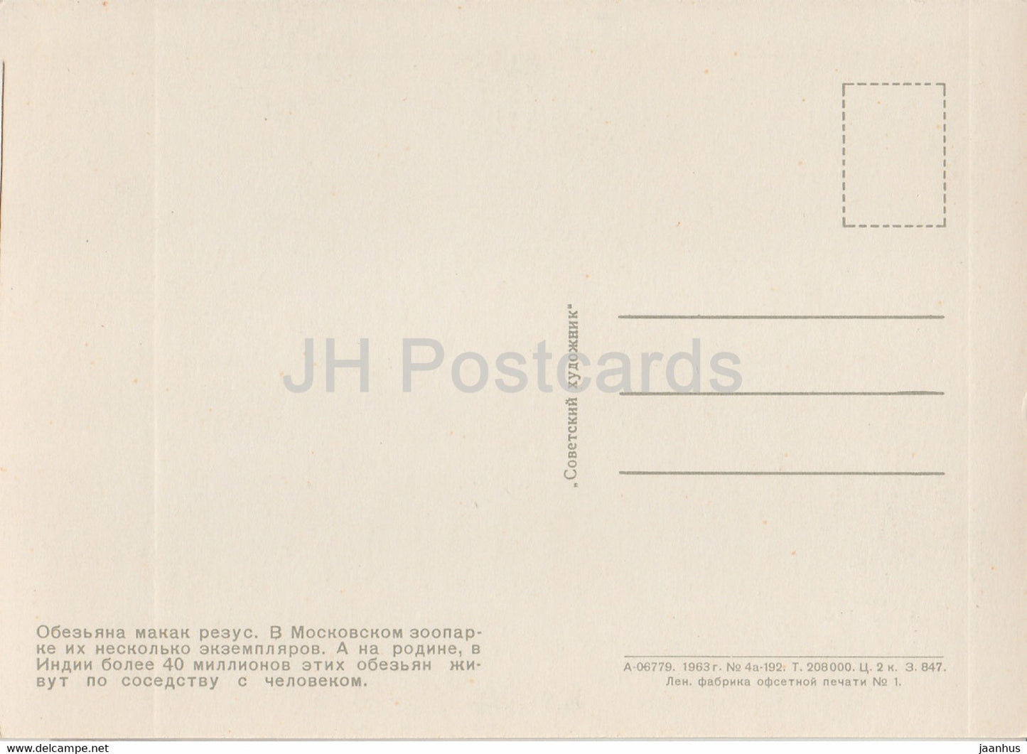 Macaque rhésus - Macaca mulatta - Zoo de Moscou - 1963 - Russie URSS - inutilisé