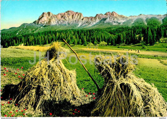 mountain view - haymaking - 224 - 1973 - Italy - used - JH Postcards