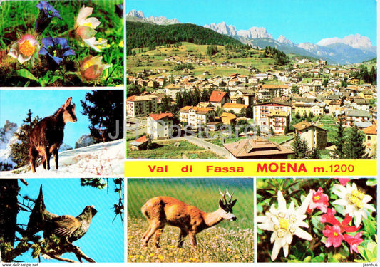 Val di Fassa - Moena - animals - deer - birds - flowers - 1987 - Italy - used - JH Postcards