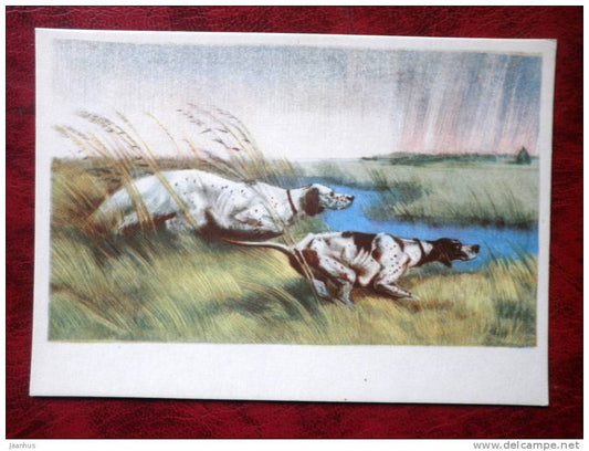 Painting by V. I. Kurdov - dogs at hunt - russian art - unused - JH Postcards