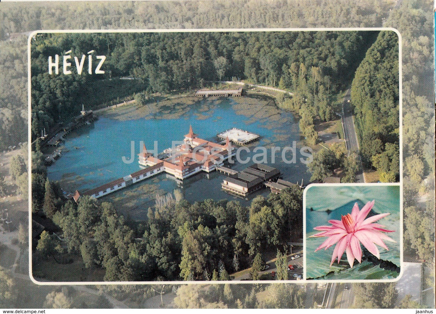 Heviz - Spa - water lily - 1995 - Hungary - used - JH Postcards