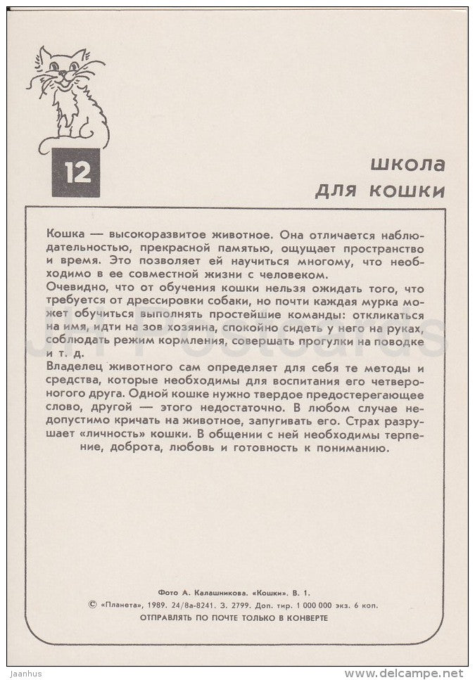 Angora Cat - cats - Russia USSR - 1989 - unused - JH Postcards