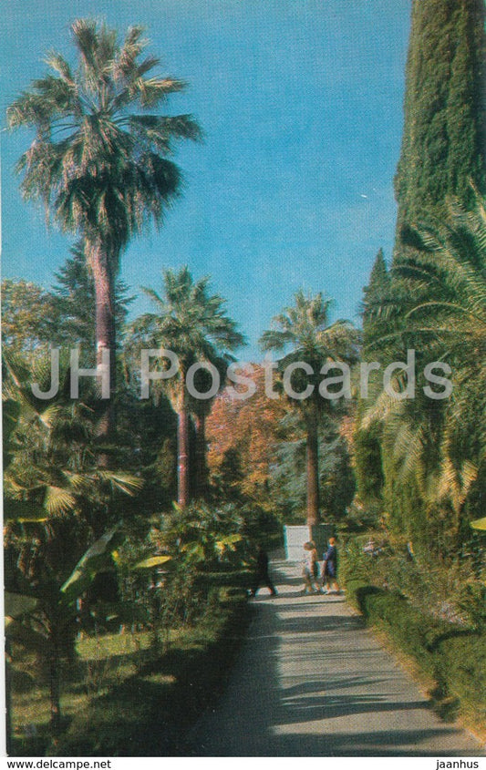 Sochi - Dendrarium - The Washington Pal Alley - 1971 - Russia USSR - unused - JH Postcards