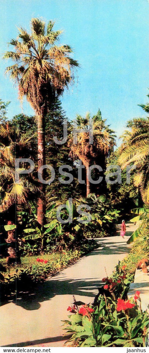 Sochi - Dendrarium - The Park - 1979 - Russia USSR - unused - JH Postcards
