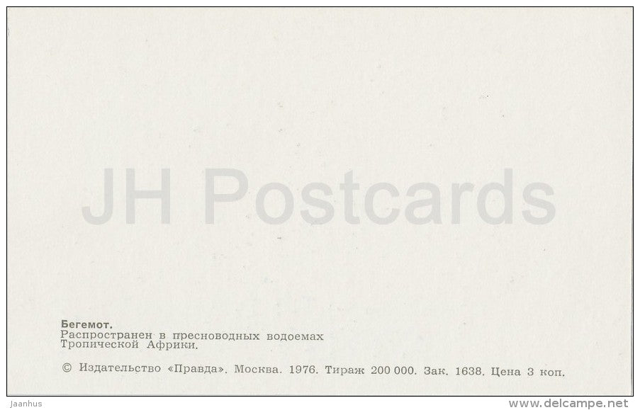 Hippopotamus - Hippopotamus amphibius - Zoo - 1976 - Russia USSR - unused - JH Postcards