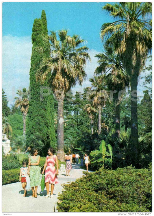 in dendrarium - palm trees - Sochi - 1981 - Russia USSR - unused - JH Postcards