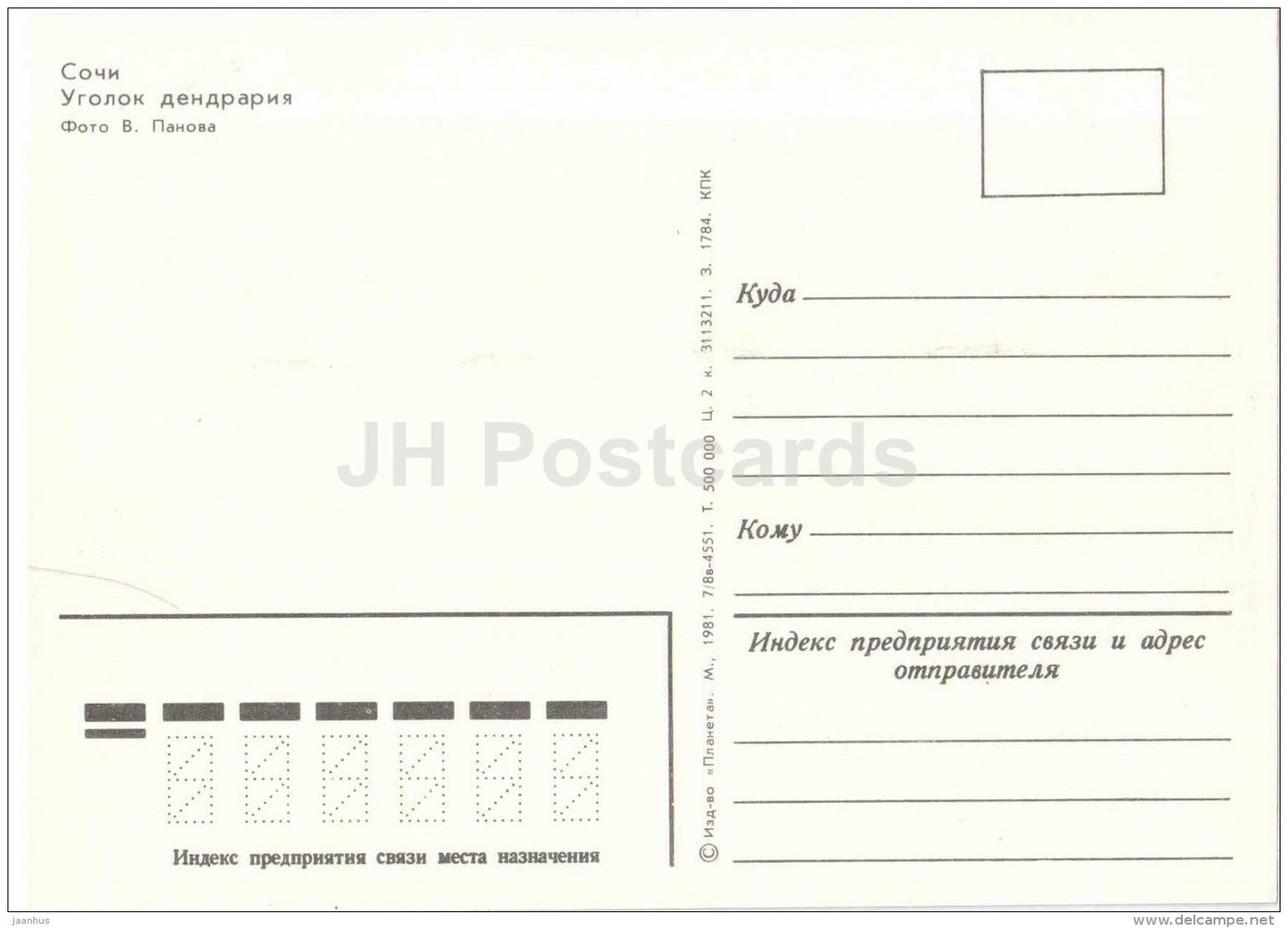 in dendrarium - palm trees - Sochi - 1981 - Russia USSR - unused - JH Postcards