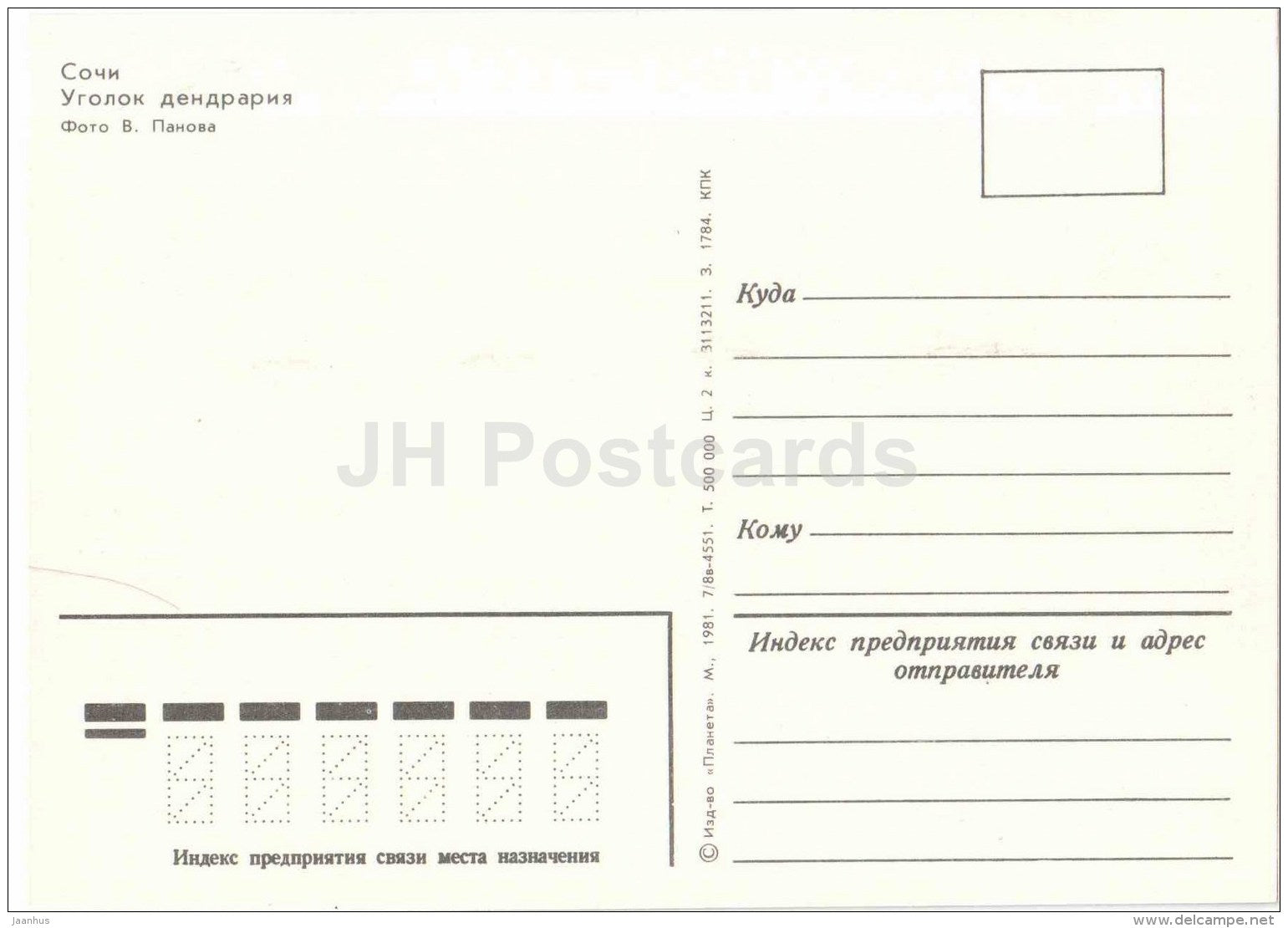 in dendrarium - palm trees - Sochi - 1981 - Russia USSR - unused - JH Postcards