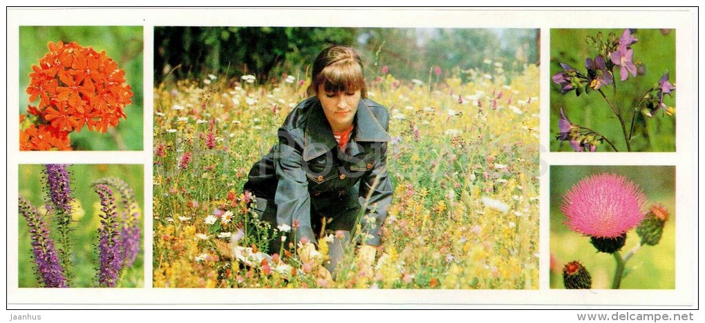 botanical laboratory - botanist - plants - Bashkirsky Nature Reserve - Bashkortostan - 1982 - Russia USSR - unused - JH Postcards