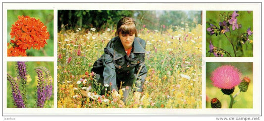 botanical laboratory - botanist - plants - Bashkirsky Nature Reserve - Bashkortostan - 1982 - Russia USSR - unused - JH Postcards