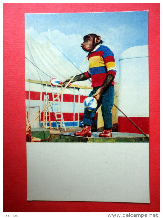 Trained Monkey - trained by  Y. Durov - Soviet Circus - 1969 - Russia - USSR - unused - JH Postcards