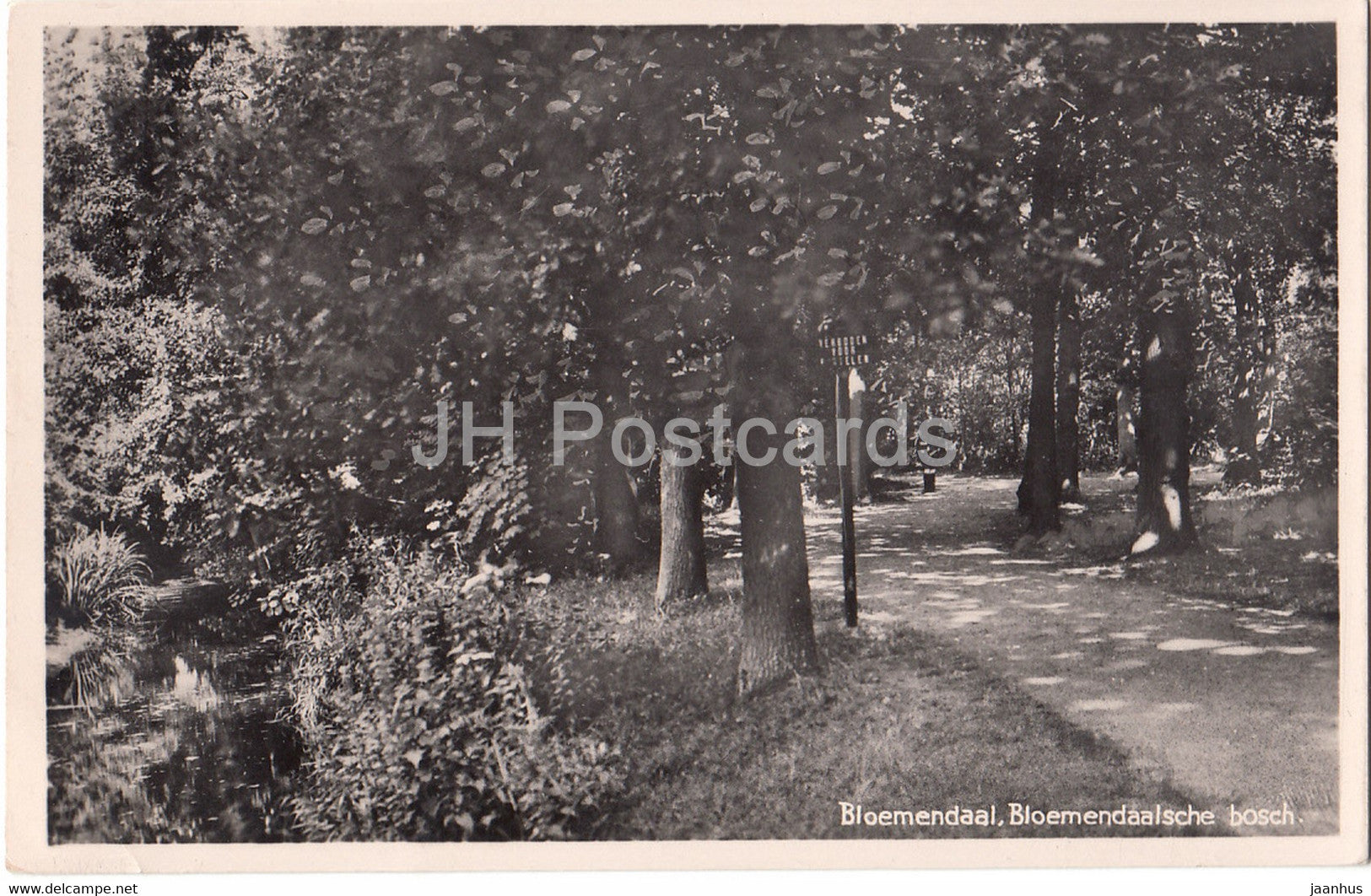 Bloemendaal - Bloemendaalsche Bosch - 3650 - old postcard - 1942 - Netherlands - used - JH Postcards