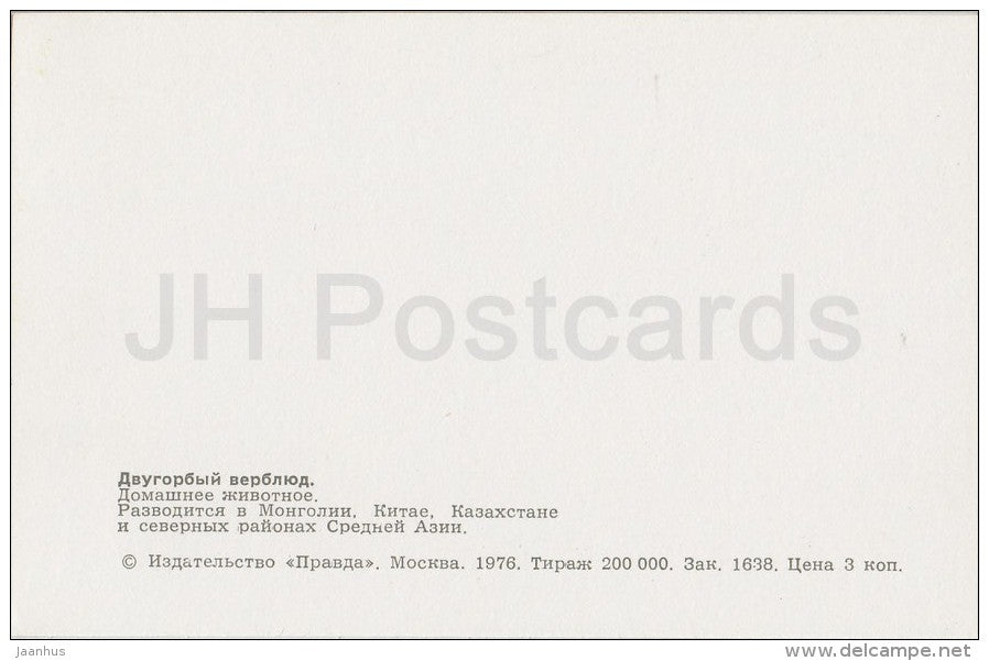 Bactrian camel - Camelus bactrianus - Zoo - 1976 - Russia USSR - unused - JH Postcards