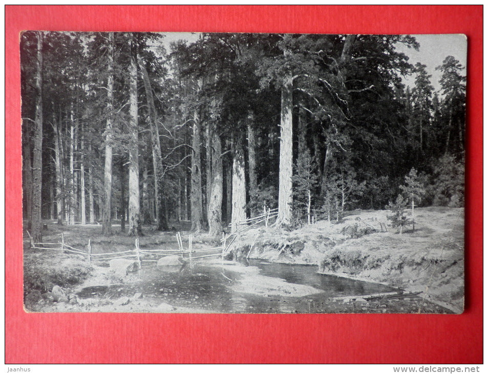 painting by I. Shishkin . Grove of Ship Timber - 31 - russian art - sent to Estonia Reval Imperial Russia 1911 - JH Postcards