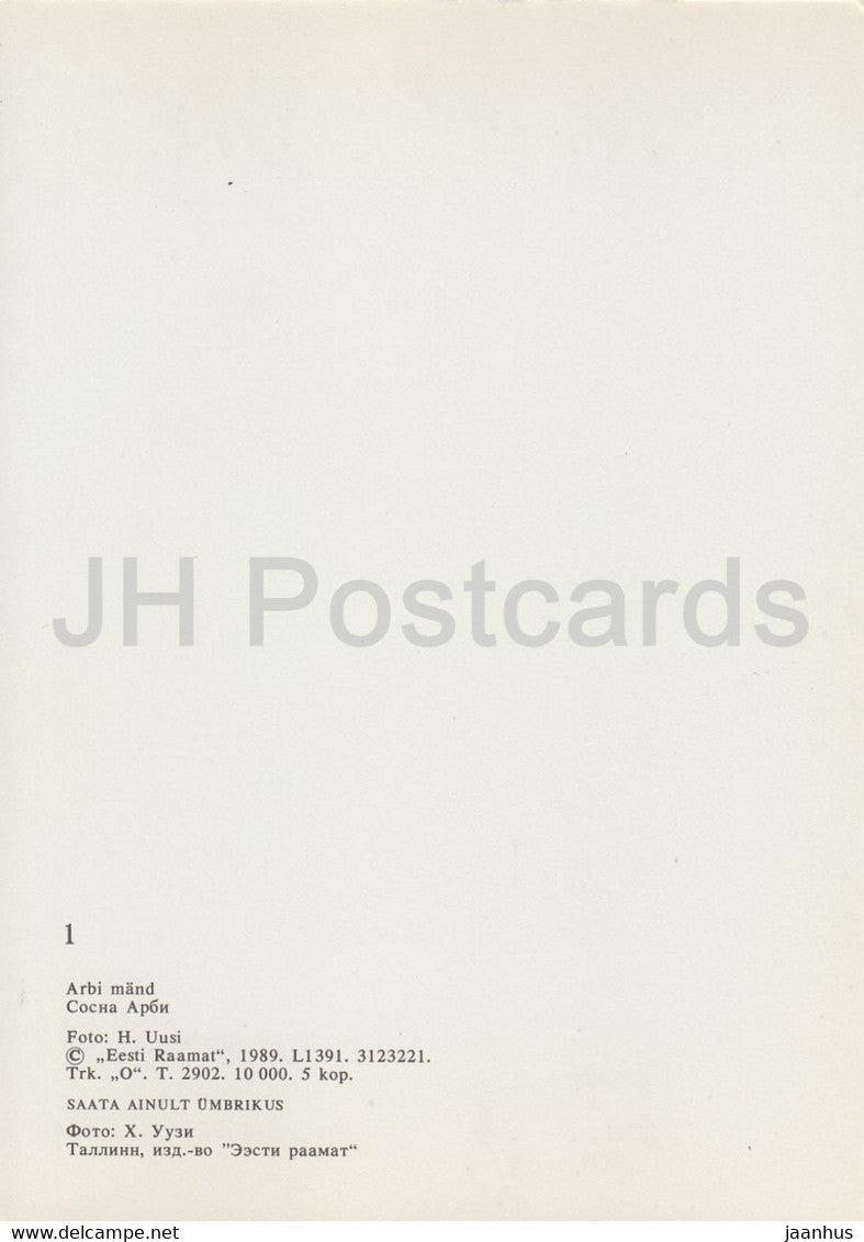 Elva - Arbi-Kiefer - 1989 - Estland UdSSR - unbenutzt