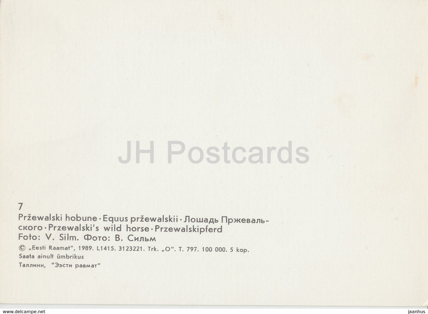 Przewalski's horse - Equus ferus przewalskii - Tallinn Zoo - 1989 - Estonia USSR - unused