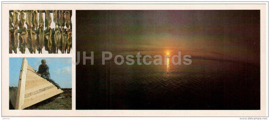 Onega whitefish - White sea - Vologda Region - 1987 - Russia USSR - unused - JH Postcards