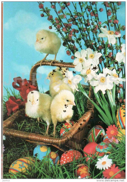 Easter greeting card - chicken - eggs - narcissus - daffodil - flowers - Estonia - used in 2000s - JH Postcards