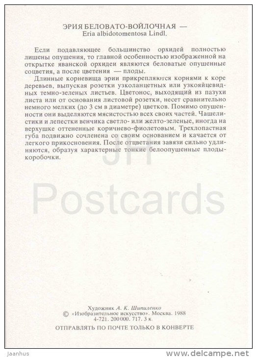 The Downy-White Eria - Eria albidotomentosa - orchid - wild flowers - 1988 - Russia USSR - unused - JH Postcards