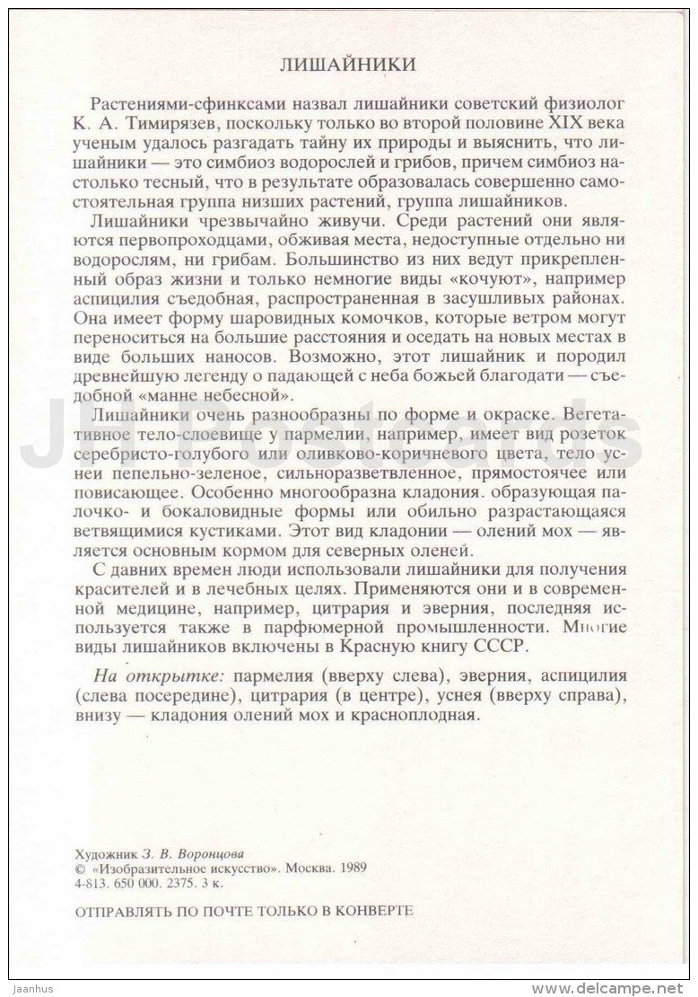 Evernia prunastri - reindeer moss - Cladonia - moss - usnea - cetraria - Amazing Plants - 1989 - Russia USSR - unused - JH Postcards