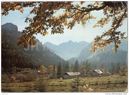Javorina valley - Vysoke tatry - High Tatras - Czechoslovakia - Slovakia - used 1989 - JH Postcards